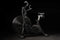 Torque Fitness Stealth Air Bike