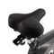 Sole Fitness B94 Upright Bike