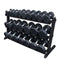 Body Solid GDR60B 2 Tier Dumbbell Rack