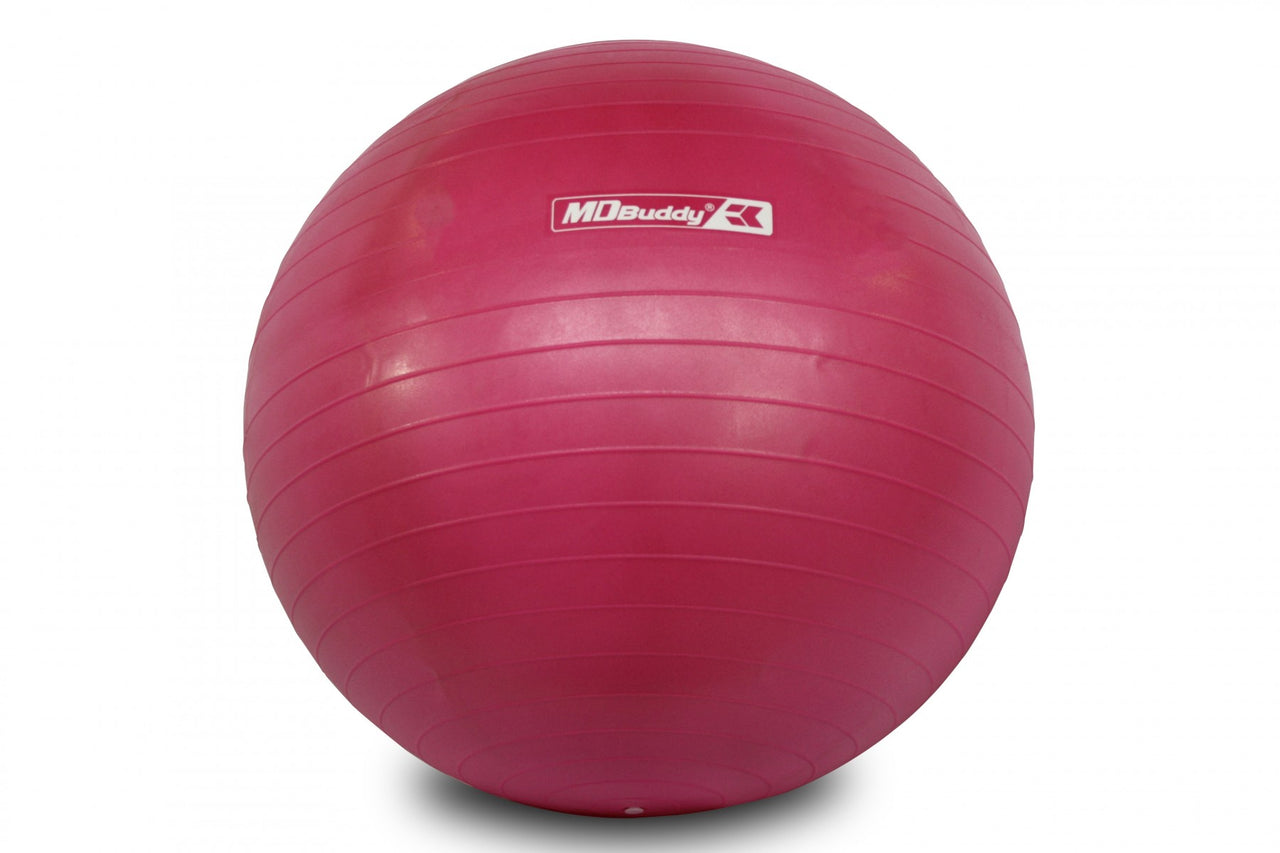 MD Buddy Anti-Burst Gym Ball